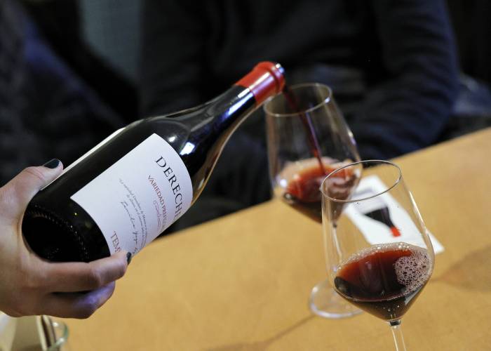 Derechero de Muniesa, la apuesta de Bodegas Tempore por una variedad prefiloxérica minoritaria