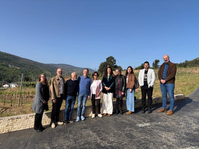 El aumento de plantaciones en Valdeorras impulsa el godello y refuerza las ventas de vino