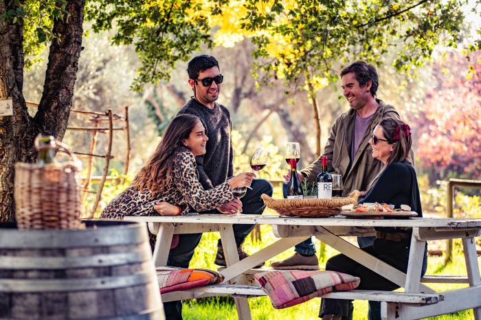 Más de 50 propuestas convierten el Día Nacional del Vino en un recorrido por Chile