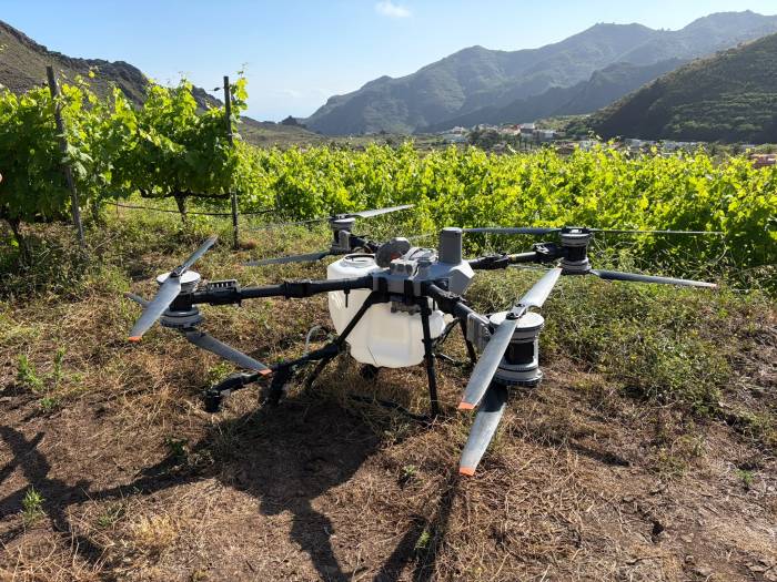 Canary Wine participa en PENVITIS+ para llevar la inteligencia artificial al viñedo en pendiente