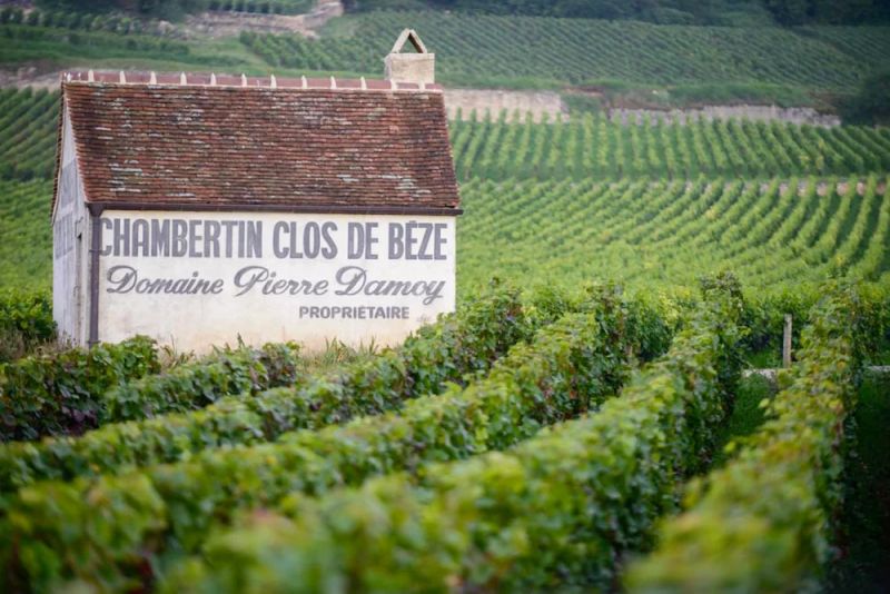France Forces Roederer to Give Up 3 Hectares in Burgundy Deal