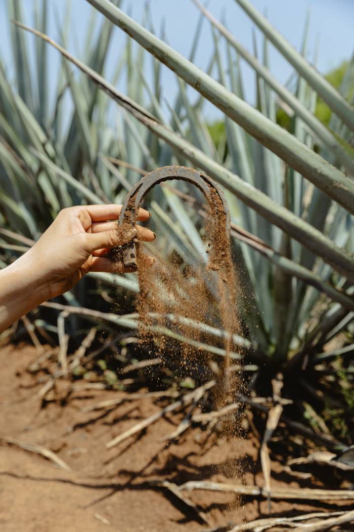 Casa Herradura reivindica el origen del primer tequila reposado comercial del mundo