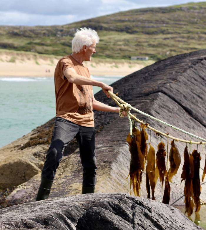 Irlanda convierte las algas de su costa oeste en una ruta gastronómica propia