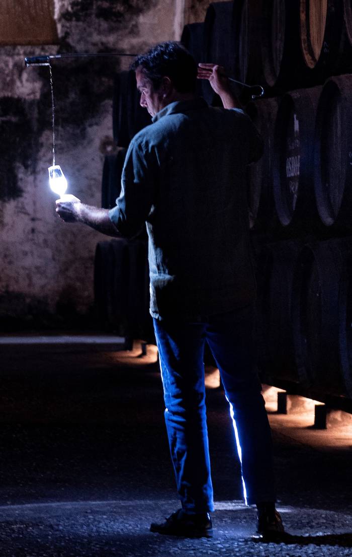 La Fundación Osborne y la Universidad de Cádiz lanzan una titulación oficial para profesionales del enoturismo en Jerez