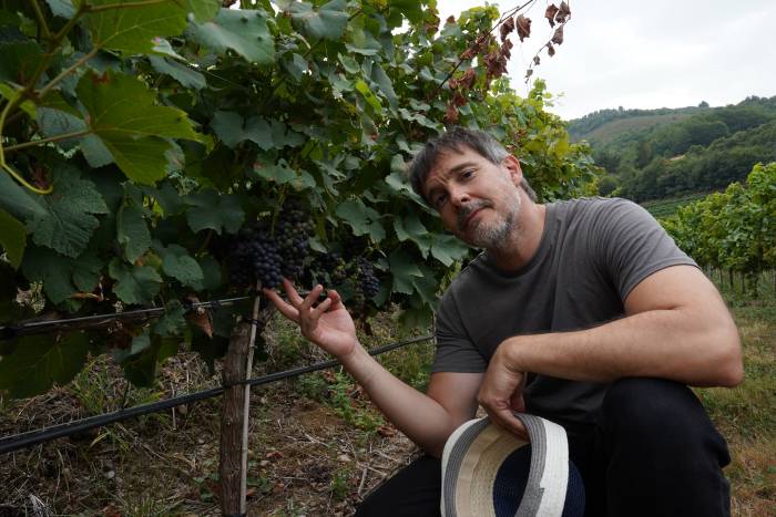 La serie 'Enológica' supera los 5 millones de usuarios en su segunda temporada