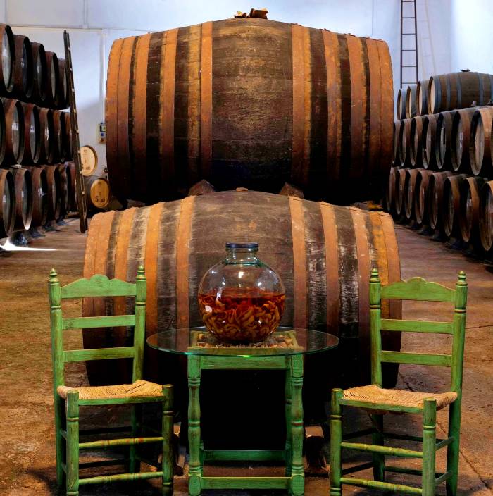 La Ruta del Vino Condado de Huelva impulsa el enoturismo sostenible y revitaliza el sur de España