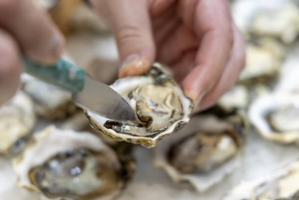 El Salón Gourmets 2026 apuesta por la integración y la excelencia en la gastronomía