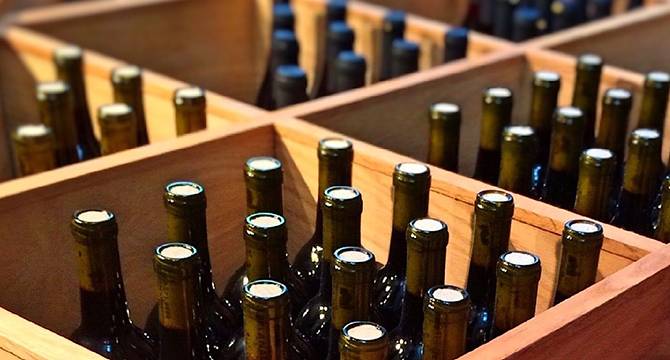 EU Agri-Food Trade Surplus Plunges 35% in November as Import Costs Surge