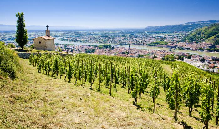 Rhône Valley Wine Production Drops 7% as Region Prioritizes Quality and Sustainability