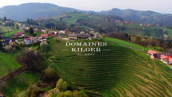 Austrian Winery Domaines Kilger Files for Bankruptcy After Mounting Losses