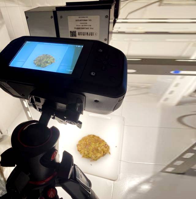 Un escáner portátil transforma residuos de uva en afinantes naturales para suavizar el vino