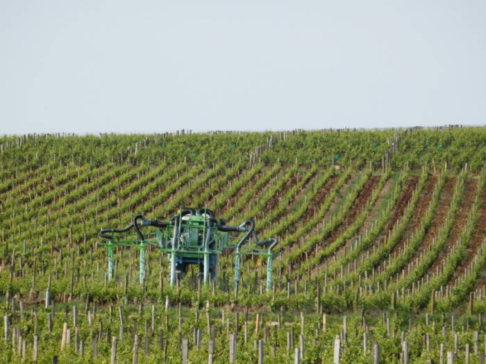 French Winegrowers Protest Loss of Key Copper Products After Regulatory Crackdown