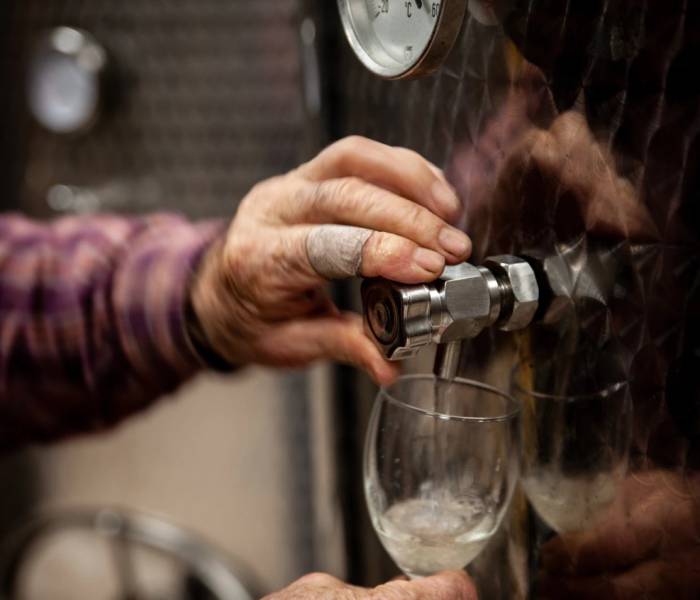 Argentina’s Wine Exports Surge 17.9% in January After Years of Decline