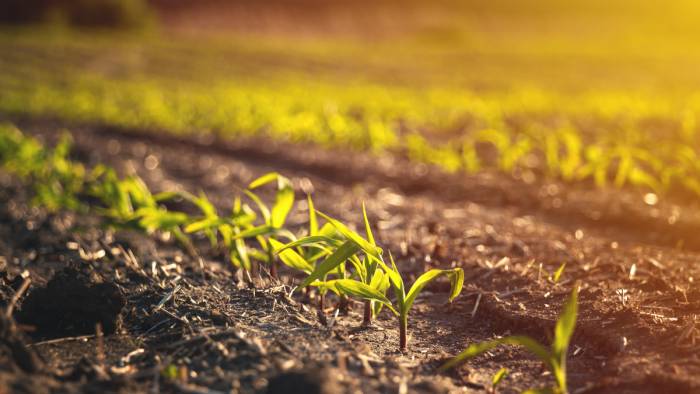 Orisha Agrifood Ibérica inicia operaciones tras la fusión de Ayanet TIC, Gregal y Tipsa Agrifood