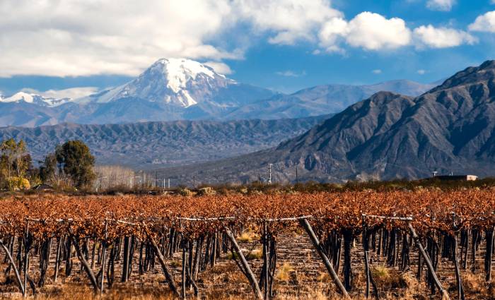 El vino argentino se desploma a mínimos históricos por la crisis y la caída del consumo
