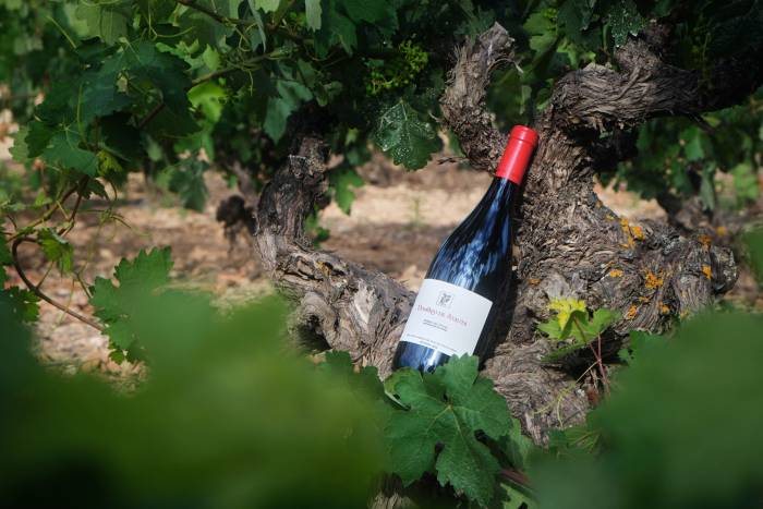 Dominio de Atauta llevará sus vinos más exclusivos a Wine Paris 2026 ante 60.000 profesionales