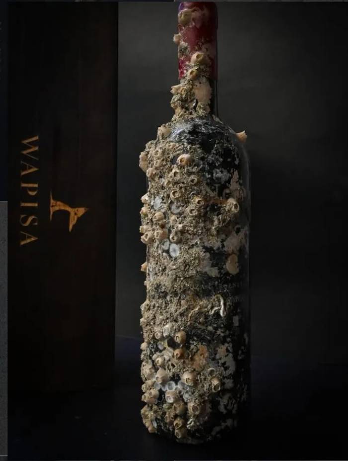 Patagonian Winemakers Confirm Underwater Aging Changes Wine’s Taste