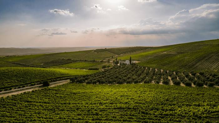 Los bares de vinos de las Rutas del Vino de España, punto de encuentro y cultura local