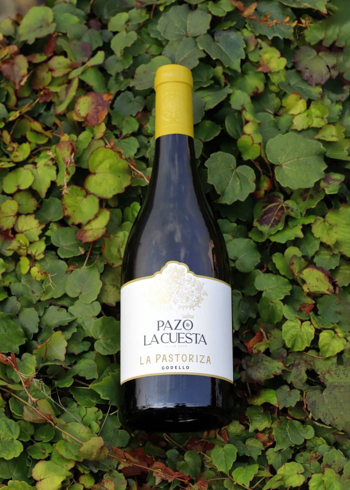 Pazo de La Cuesta presenta La Pastoriza 2023, un godello con 17 meses de crianza en roble francés
