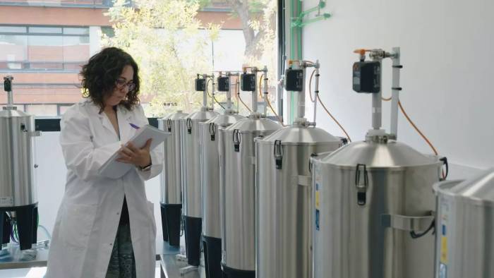 Spanish Scientists Use Artificial Intelligence to Revolutionize Wine Fermentation Modeling