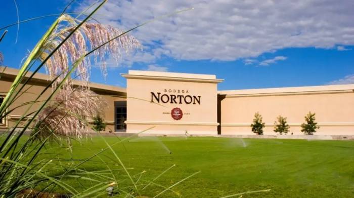 Bodega Norton afronta una deuda de 43 millones de dólares y mantiene su actividad durante la reestructuración judicial