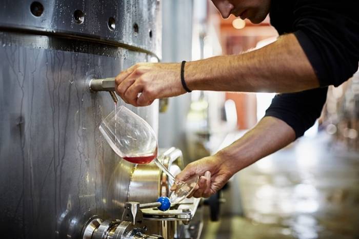 Bulk Wine Surges to Majority Market Share in UK as Young Professionals Drive Industry Transformation