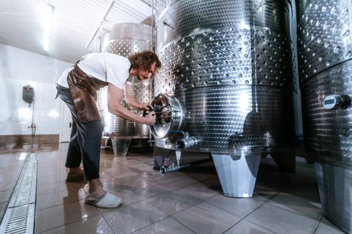 Mendoza Unveils $20 Million Credit Line to Boost Bulk Wine Exports at 4.25% Interest