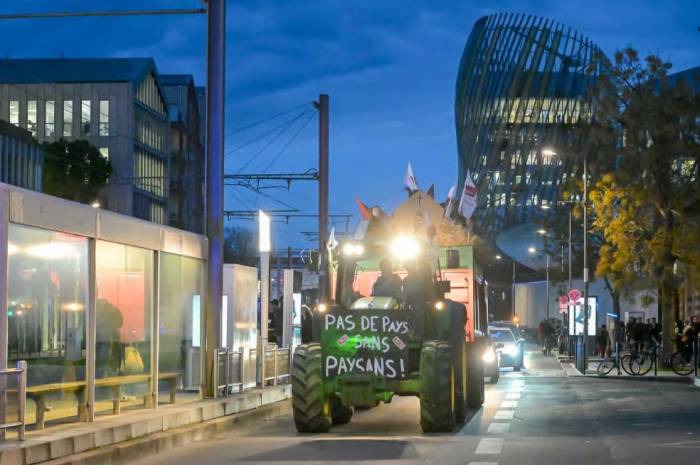 Bordeaux Wine Industry Faces Deepening Crisis as €130 Million Vine Removal Plan Announced