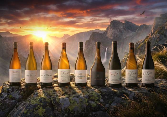 Los vinos de Pariente Tradición Familiar logran altas puntuaciones en las guías vinícolas de 2026