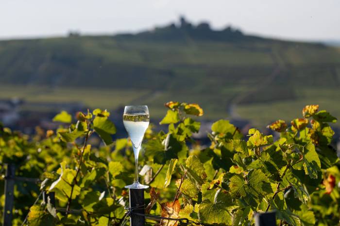 Champagne Industry Cuts Carbon Emissions by 27 Percent, Eyes Net Zero by 2050