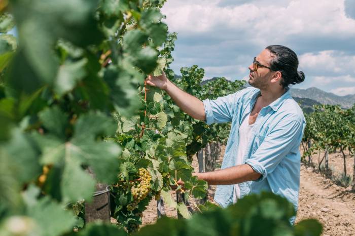 Solo el 9 por ciento de los agricultores españoles tiene menos de 41 años