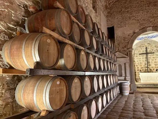 Three Alentejo Wineries Named Among World’s 50 Best as Region Prepares for 2026 European Wine Capital Honor