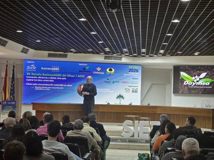 El olivar debate en Ciudad Real cómo mantener la rentabilidad apostando por la sostenibilidad