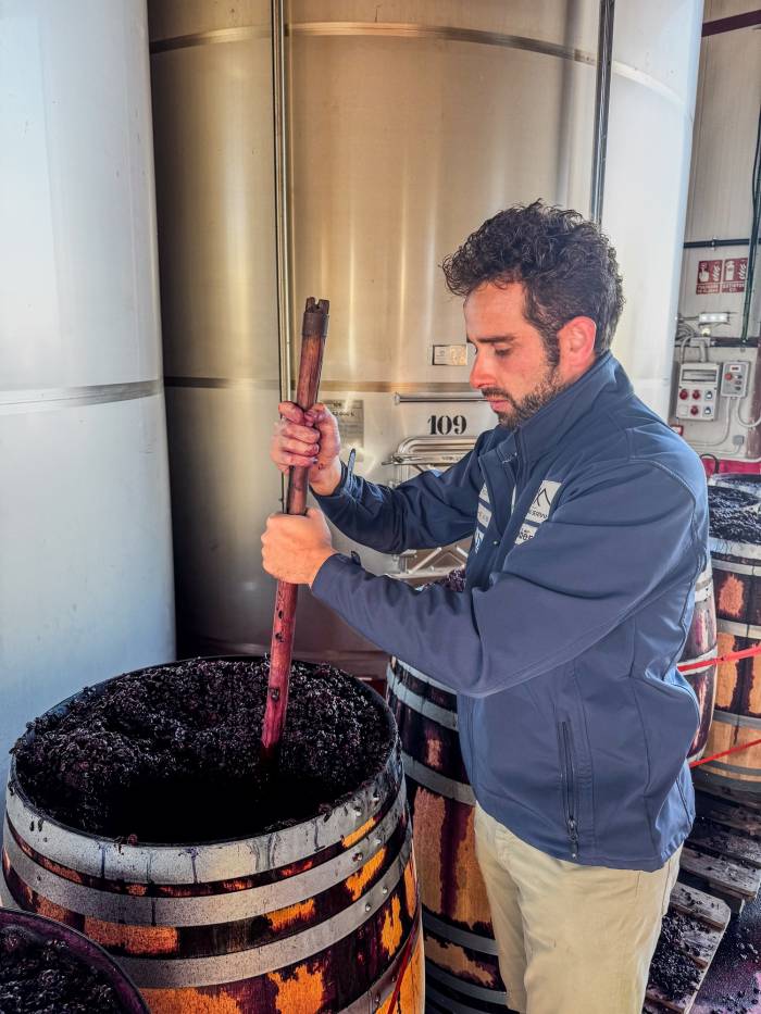Antonio Serrano Etiqueta Negra 2020, elegido mejor tinto de guarda de Castilla-La Mancha