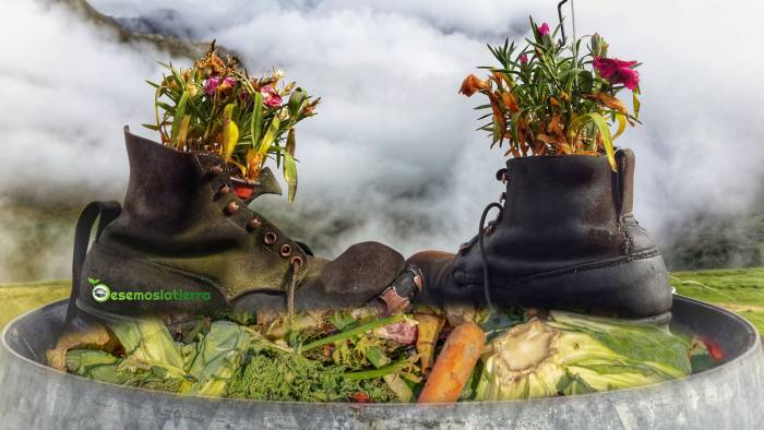 Besemoslatierra.com impulsa la digitalización sostenible del sector primario con ayudas de hasta 50.000€