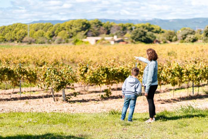 España suma 15.835 alojamientos rurales y busca una voz común para impulsar el turismo en el campo
