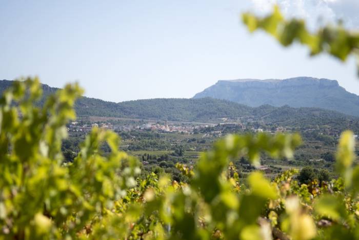 La DO Montsant inicia su 25º aniversario con un ciclo de catas en la Barcelona Wine Week