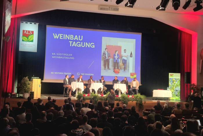 Wine Industry Experts Warn South Tyrol Faces Structural Shift as Global Market Transforms