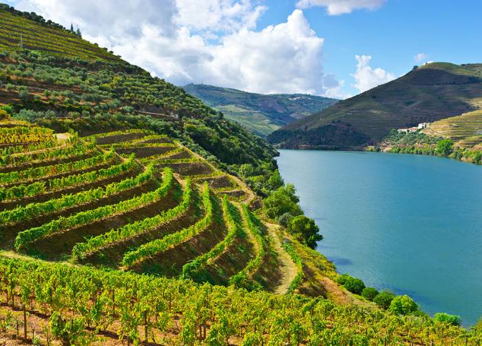 Portugal’s Wine Production Falls to Lowest Level in a Decade as Adverse Weather Hits Vineyards