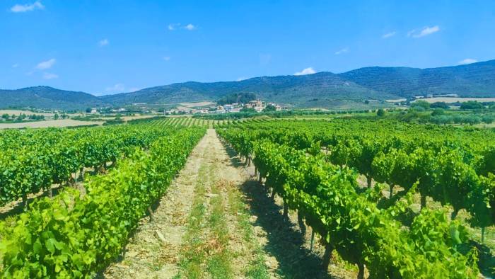 Bodega Eslava debuta en Barcelona Wine Week con su proyecto de territorio y comunidad