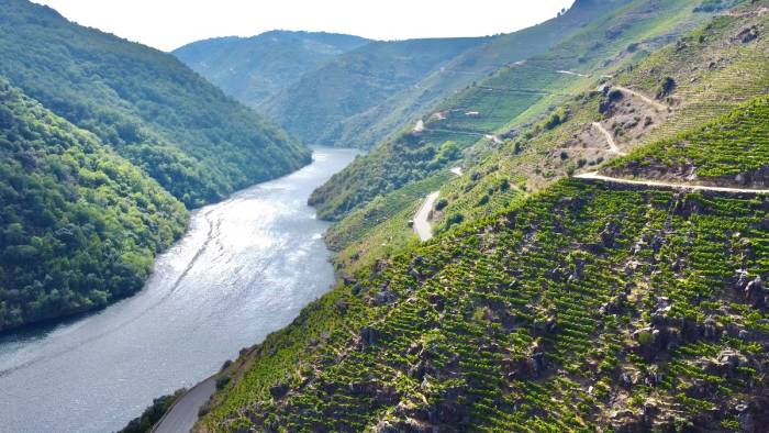 Ribeira Sacra llevará 39 vinos a la Barcelona Wine Week con un túnel propio