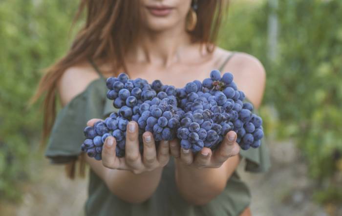 Australia to Enforce Mandatory Wine Grape Code for Large Winemakers by 2027