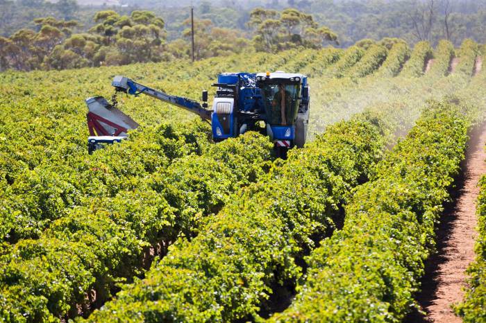 Fertilizer Prices in Europe Remain 60 Percent Above 2020 Levels Amid Tariff Suspension Proposal