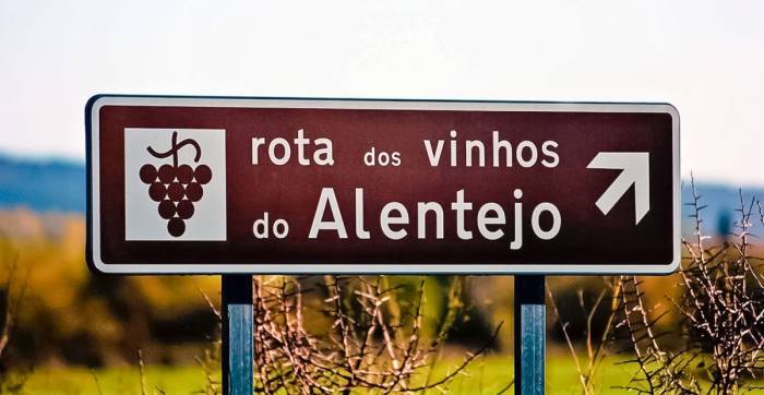 Alentejo Aims to Double Wine Exports by 2031 in New Push for Global Market Share