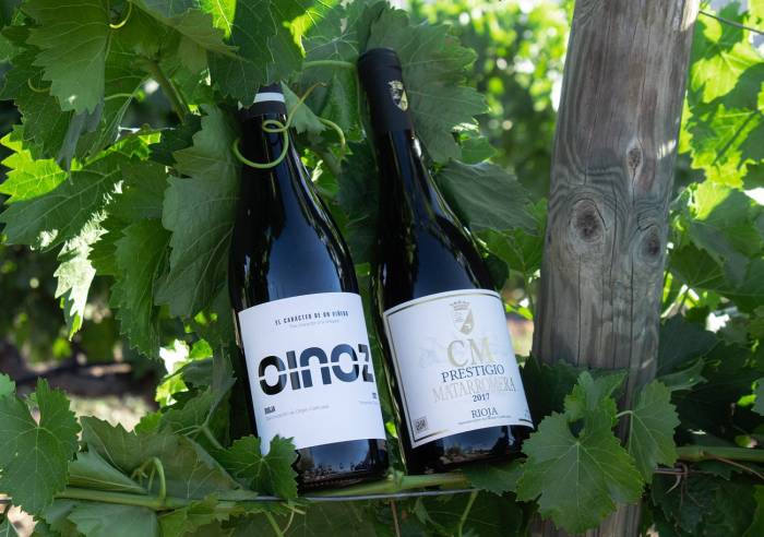 Dos vinos de CM Matarromera logran 94 y 95 puntos en Decanter
