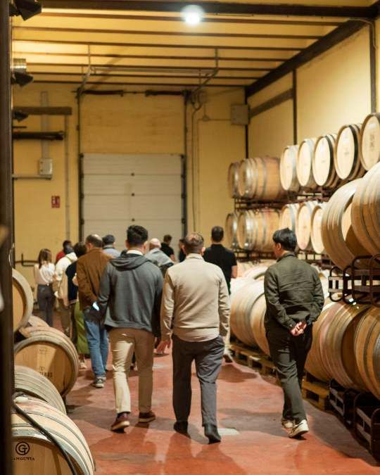 La Ruta del Vino Almansa supera las 1.700 visitas en 2025