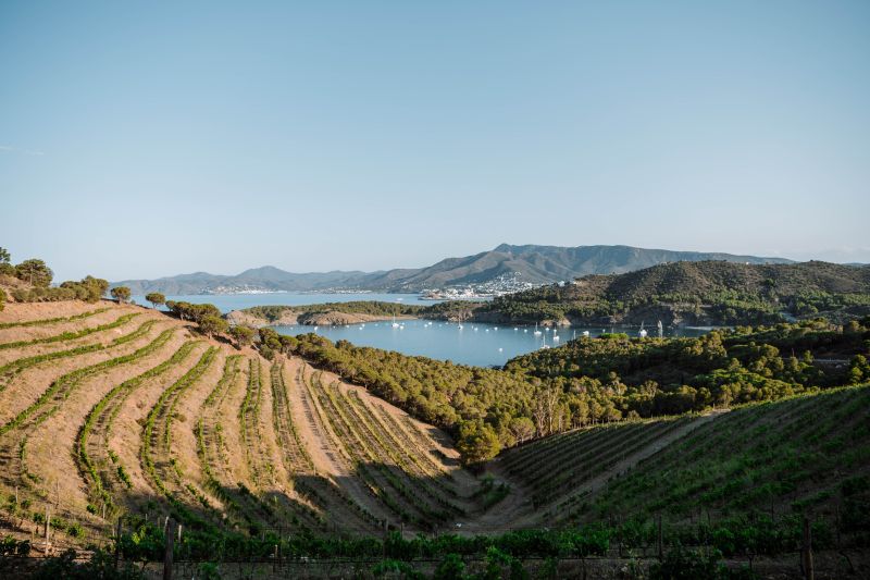 Perelada y Celler del Pescador logran el sello clave de sostenibilidad del vino español