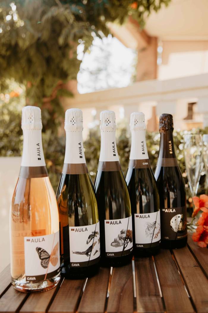 Coviñas reivindica el cava de verano con su gama AULA para el canal Horeca