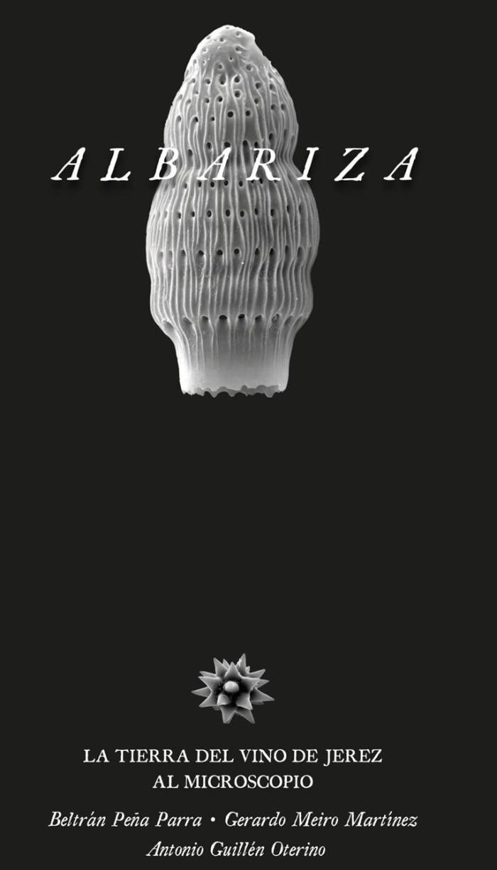 Un libro reúne 600 imágenes microscópicas para explicar la albariza del Marco de Jerez
