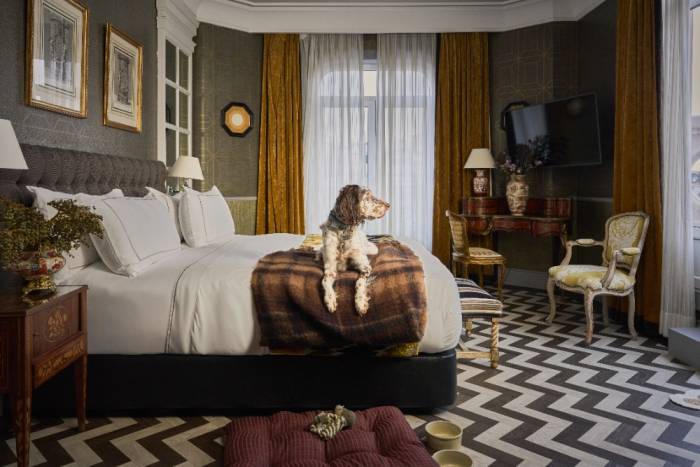 Heritage Madrid refuerza su oferta para alojar perros con servicios en la habitación